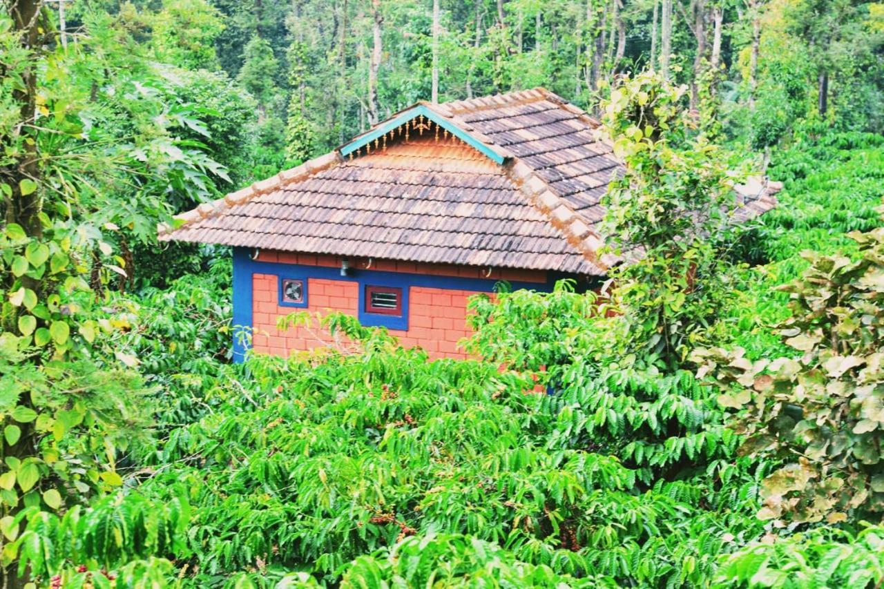 מדיקרי Agastya Lake View Coorg מראה חיצוני תמונה
