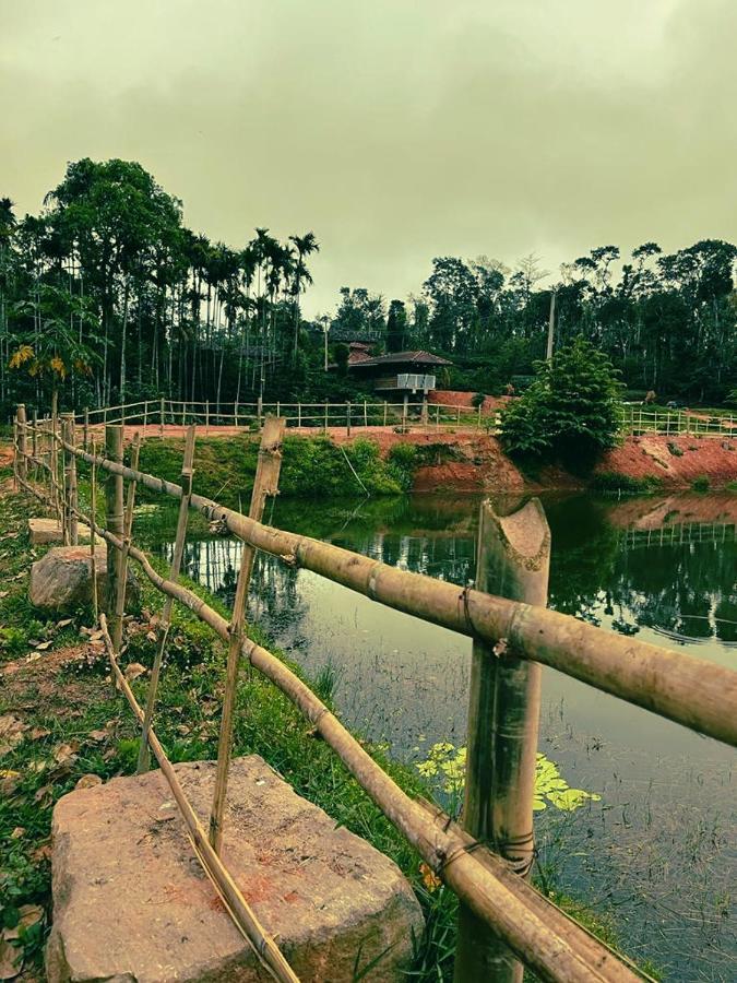 מדיקרי Agastya Lake View Coorg מראה חיצוני תמונה