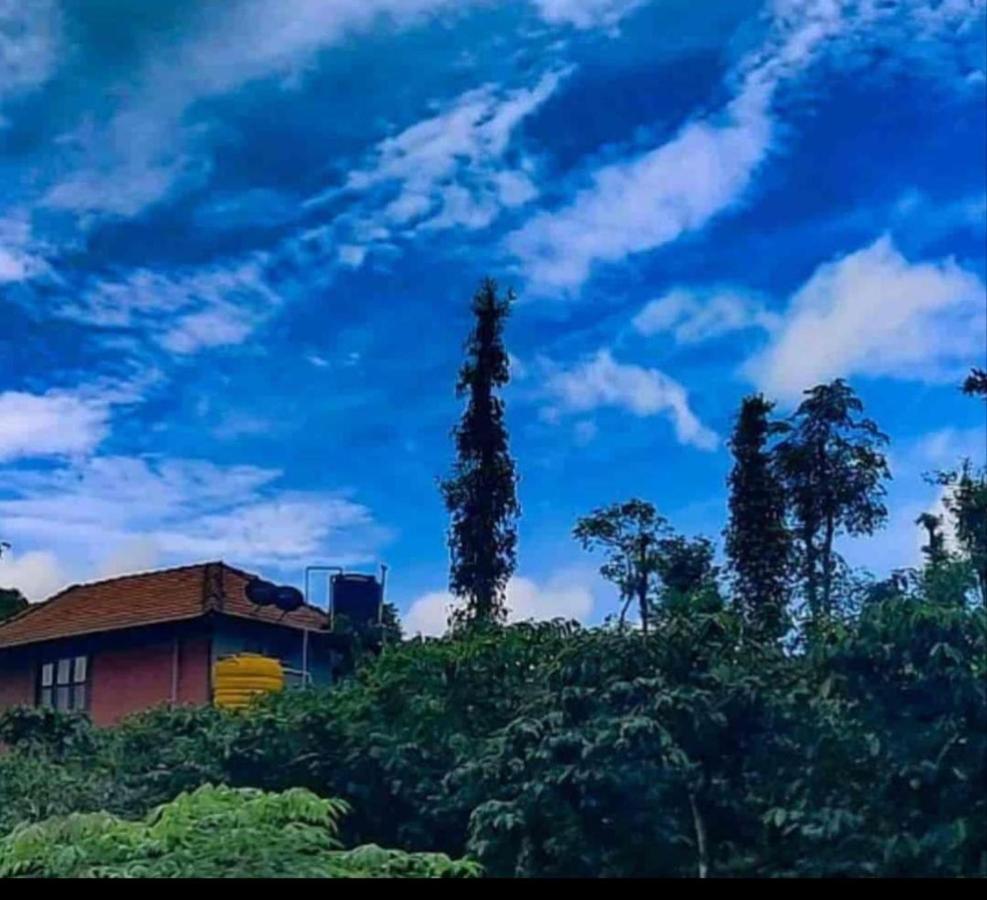 מדיקרי Agastya Lake View Coorg מראה חיצוני תמונה